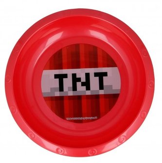 PLASTOVÝ TALÍŘ MINECRAFT