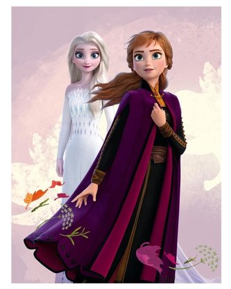 FLÍSOVÁ DEKA FROZEN