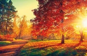 Kalendarz 2023 Ścienny Zachód