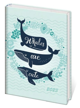 Diář 2023 B6 LYRA denní Whales