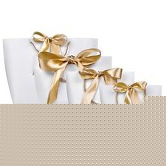 Ostatní značky Dárková taška se zlatou stuhou 1 ks Varianta M unisex