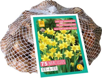 Síťka - XXL - Narcis Téte-A-Téte (50 cibulí)