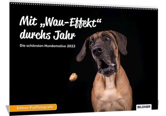Hundekalender 2023, Mit "Wau-Effekt" durchs Jahr! Die schönsten Hundemotive und Aufnahmen 2023