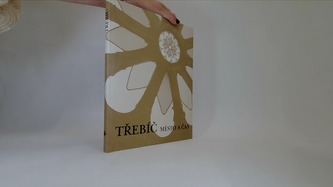 Třebíč město a čas