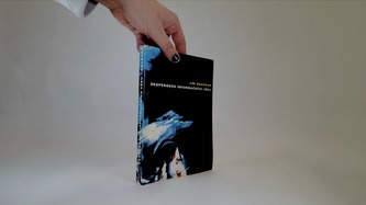 Desperádos informačního věku