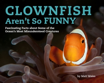 Clownfish Aren't So Funny