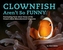 Clownfish Aren't So Funny