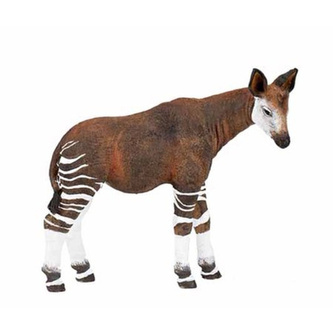 Okapi Okapi