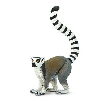Lemur kata