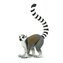 Lemur kata