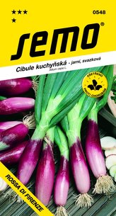 Cibuľa jarná - Rossa di Firenze červená zväzková 2g