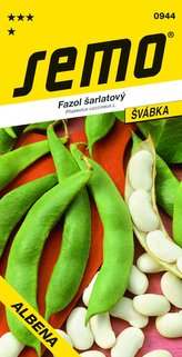Fazuľa tyč. biely - Albena 10s
