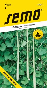 Tekvica - indická uhorka Kalabasa dlhá 3g