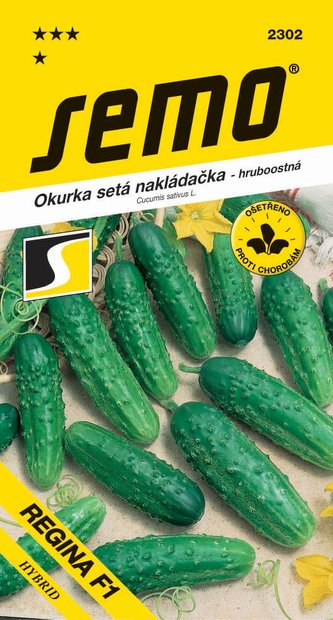 Uhorka nakl. - Regina F1 hr 2g