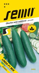 Okurka salát. - Linda F1 Mix pole 1,3g