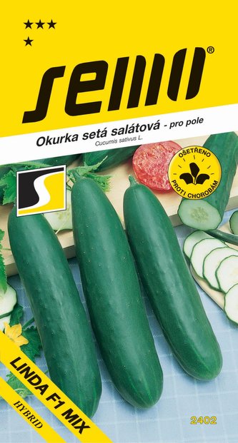 Okurka salát. - Linda F1 Mix pole 1,3g