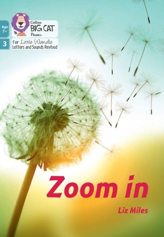 Zoom in