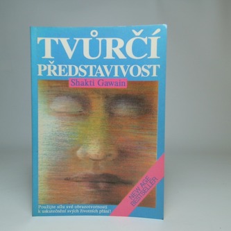 Tvůrčí představivost