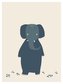 Plakát - Mrs. Elephant 30 x 40 cm