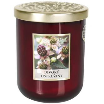 75_Divoké ostružiny střední svíčka