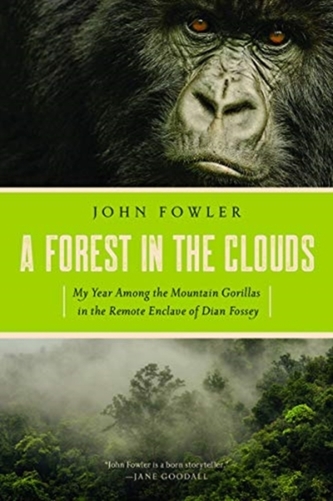 A Forest in the Clouds