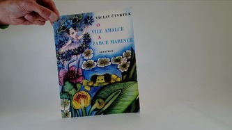 O víle Amálce a žabce Márince