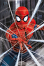 Plagát Marvel|Spiderman: Web (61 x 91,5 cm) 150 g