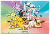 Plagát Pokémon: Evolution Gotta Catch Em All (61 x 91,5 cm)