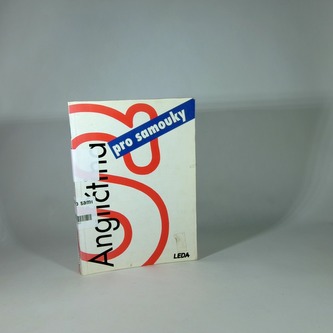 Angličtina pro samouky