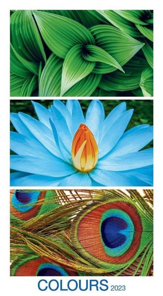 Colours 2023 - nástěnný kalendář