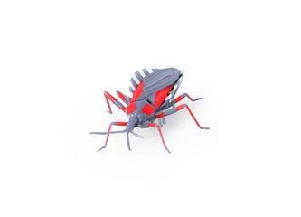 HEXBUG Real Bugs - Asasínský brouk