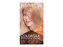 Revlon Colorsilk barva na vlasy Colorsilk Beautiful Color 59,1 ml + vyvíječ 59,1 ml + kondicionér 11,8 ml + rukavice