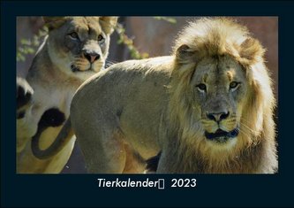 Tierkalender  2023 Fotokalender DIN A5