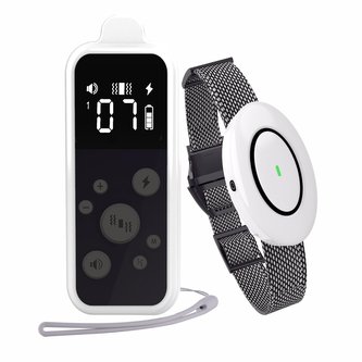 Patpet T250-pro 1 psa