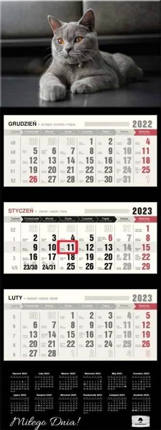 Kalendarz 2023 trójdzielny wypukła główka Kot