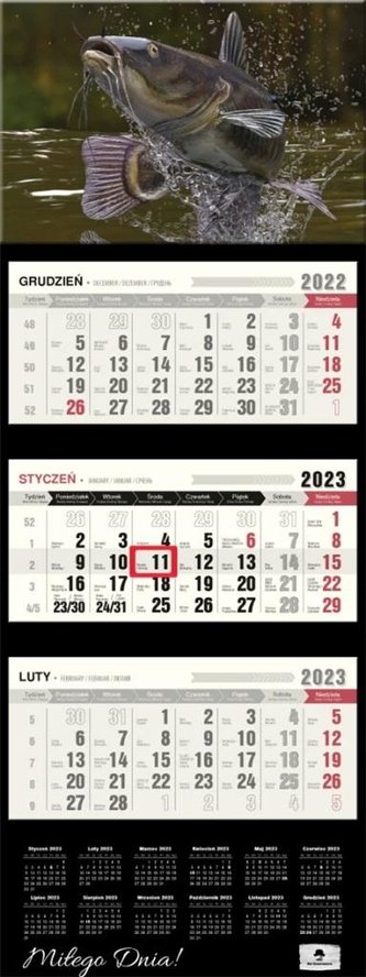 Kalendarz 2023 trójdzielny wypukła główka Ryba