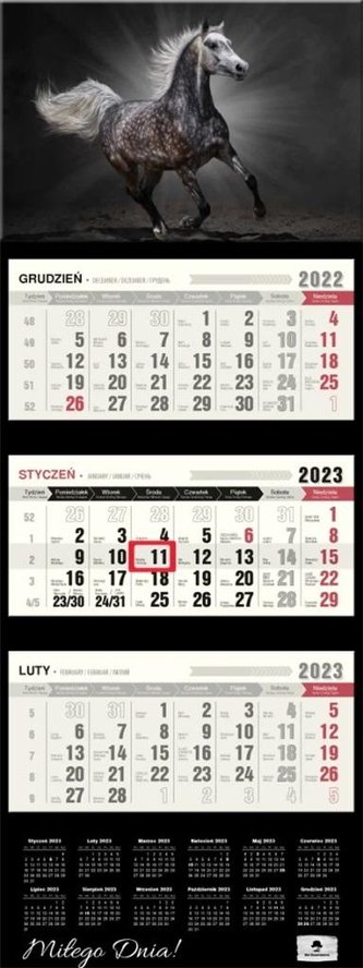 Kalendarz 2023 trójdzielny wypukła główka Koń