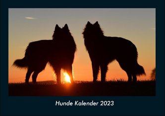 Hunde Kalender 2023 Fotokalender DIN A4