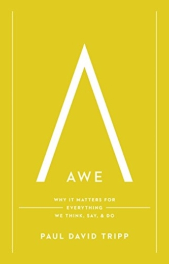 Awe