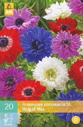Karta - Sasanka - An. Cor. St. Brigid Mix (15 cibulí) "C"