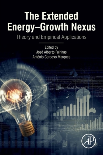 The Extended Energy-Growth Nexus