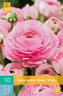Karta - Pryskyřník - Ranunculus Pink (10 cibulí) "B"
