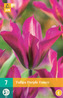Karta - Tulipán - Purple Dance (7 cibulí) "C"