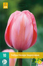 Karta - Tulipán - Design Impression (10 cibulí) "C"