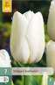 Karta - Tulipán - Clearwater (10 cibulí) "C"