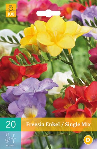 Karta - Frézie - Freesia Single mix (20 cibulí) "C"