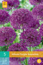 Karta - Česnek - Allium Purple Sensation (5 cibulí) "B"