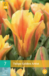Karta - Tulipán - Golden Artist (7 cibulí) "C"