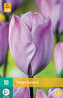 Karta - Tulipán - Jacuzzi (10 cibulí) "C"