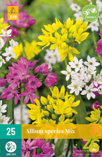 Karta - Česnek - Allium Species mix (25 cibulí) "B"